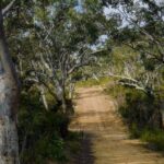 7 reasons to visit Mulligans Flat Nature Reserve