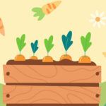 The Lucky Carrot Pluck