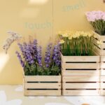 Springtime at Marketplace Gungahlin
